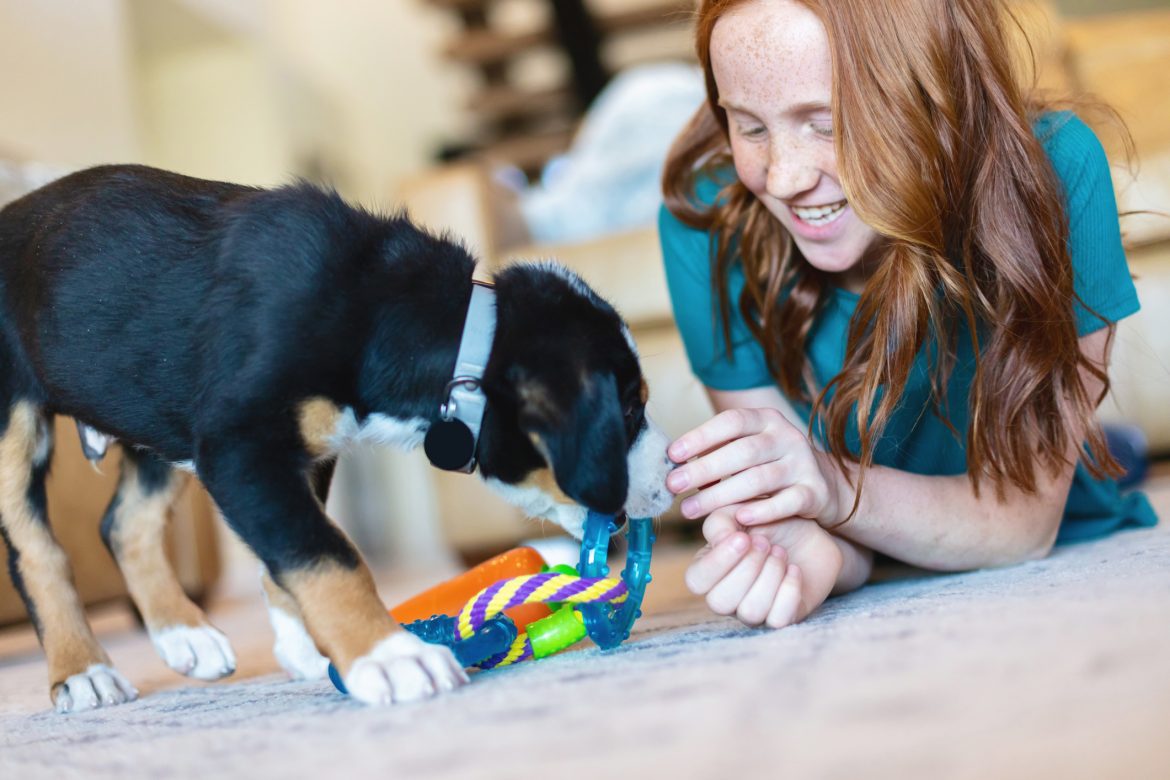 Tips And Tricks For Bringing Home New Puppy - The Mabelhood